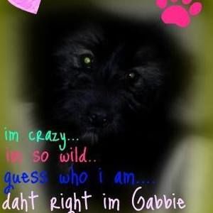 Meet your Posher, Patsy